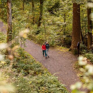 Tour durch den dichten Wald von Bad Tabarz