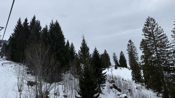 Foto de Damanu a lo largo del recorrido