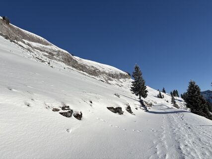 Sankt Koloman_Frunstberg