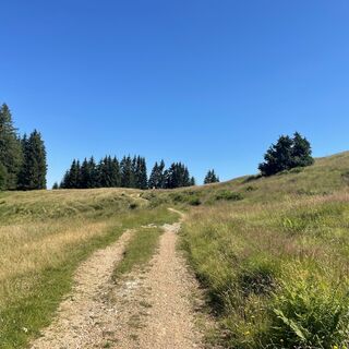 Auf der Hochebene Schwändle - Sämelalpe