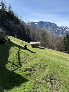 Fotografija s spletne strani Babs Holz na poti