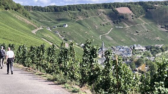 Foto von Sandra Visser-Nijland entlang der Tour