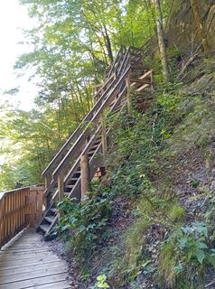 Foto von Wanderkatze entlang der Tour