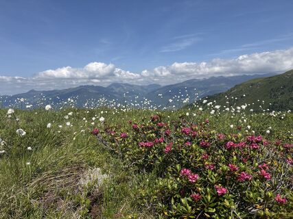Foto von Matthias Opbacher entlang der Tour