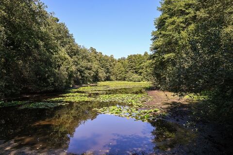 Naturschutzgebiet Kranenmeer