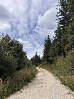 Foto von Heinz Sperl entlang der Tour