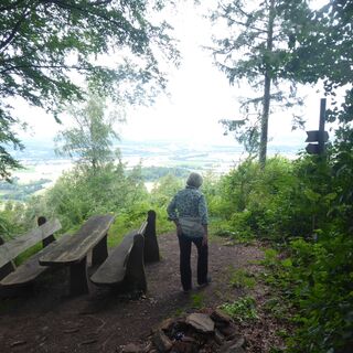 Lotzenkopf