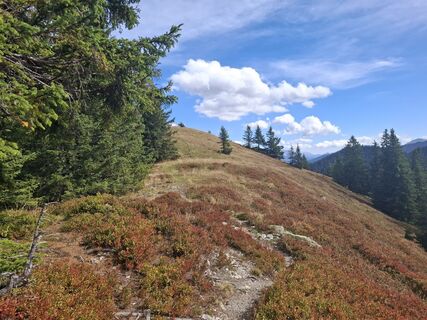 Foto von Michael Putz entlang der Tour