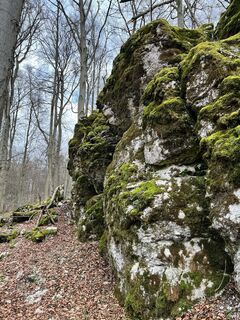 Fotografie z Max Weith na trase