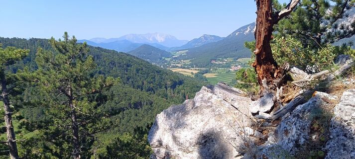 Photo de PPK le long du parcours