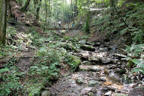 Altenbachklamm - Einblicke