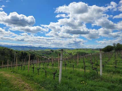 Fotografia z Juliane Jarke na trase