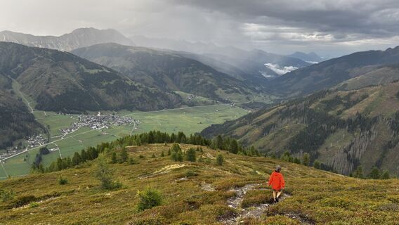 Foto von sagal entlang der Tour