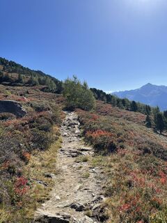 Foto von Rob Bosma entlang der Tour
