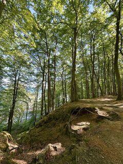 Foto von Monica Bagge entlang der Tour