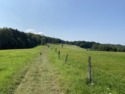 Foto von Dominik Ternig entlang der Tour