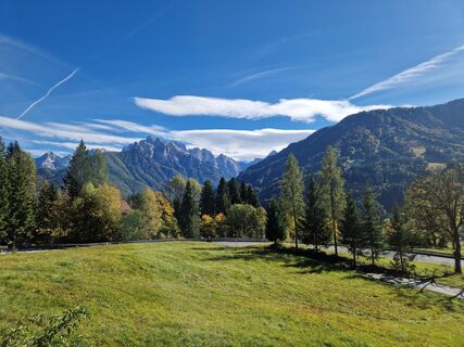 Foto von Drummerkaktus entlang der Tour