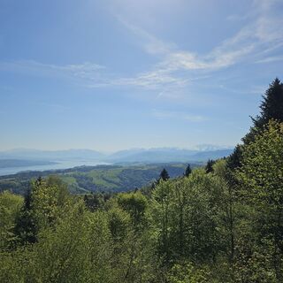 Fotografija s spletne strani Robert Hofer na poti