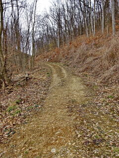 Aufstieg von Burg weg