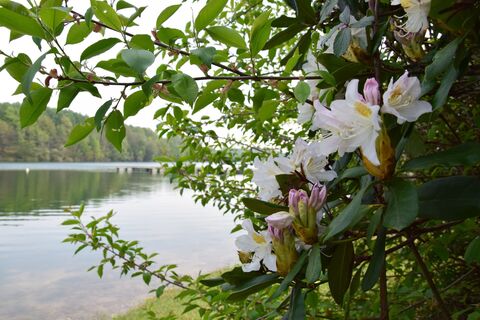 Natur am Wasserweg