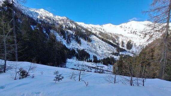 Foto från Regina Fleischmann under resans gång