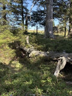 Photo de Reinhard Frewein le long du parcours