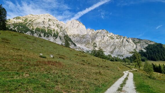 Fotografia z Jürgen Fuchsberger na trase