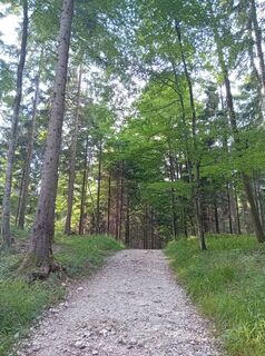 Foto von Elena Unegg entlang der Tour