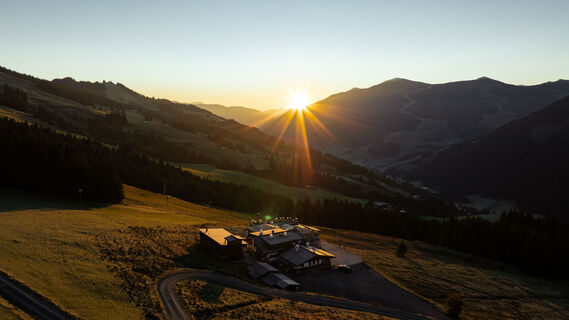 Walleggalm