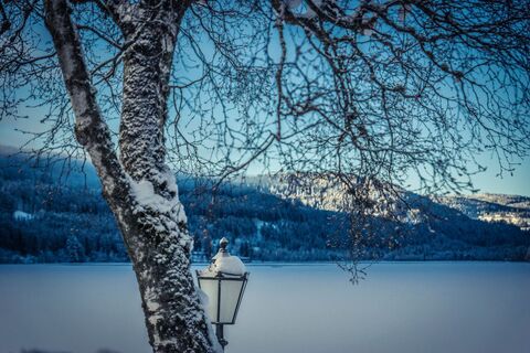 Verschneiter Titisee