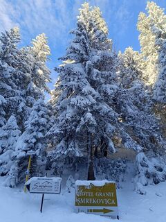 Foto de Žaneta Schelling a lo largo del recorrido