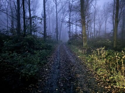 Zdjęcie z DeliciousDom wzdłuż trasy