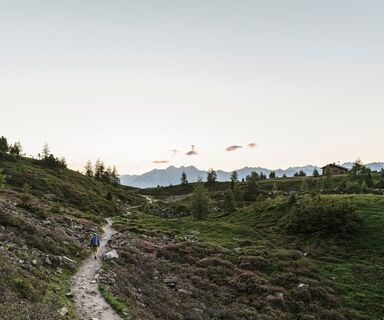 Zirbenweg