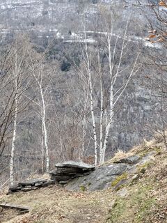 Fotografie z Guido Lovati na trase