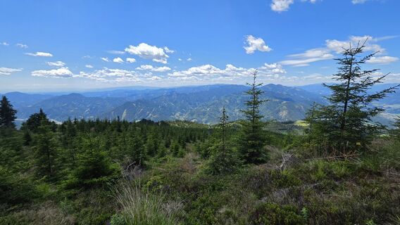 Photo de EP87 le long du parcours