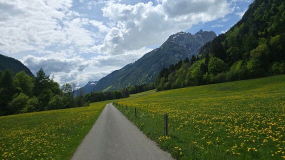 Fotografie z Bike Rider na trase