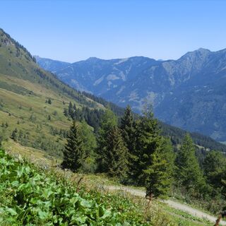 Panoramaweg