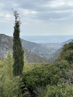 Foto de Graziano clivati a lo largo del recorrido