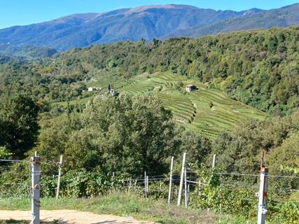 Fotografia z reisi70 na trase