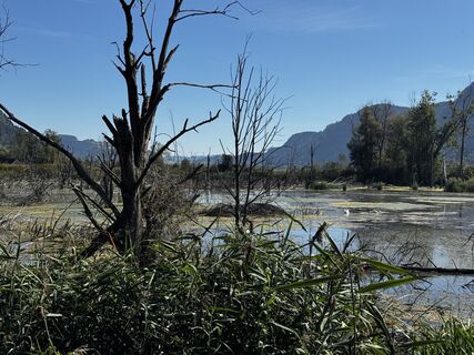 Fotografie de la Herfried Apoloner de-a lungul turului