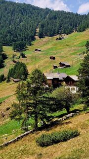 Fotografija s spletne strani Fabrizi Mellano na poti