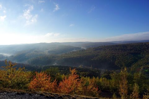 Blick über den Urwald vor den Toren der Stadt