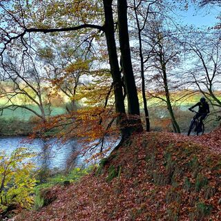 Saalleiten Trail