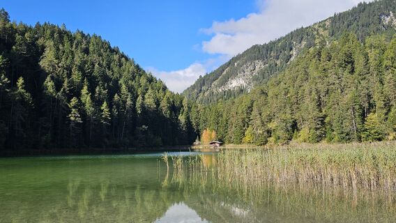 Foto de Rotwild a lo largo del recorrido