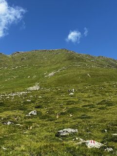 Photo de Elke Schur le long du parcours