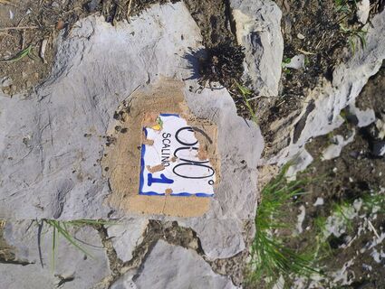 Photo de Michele cristino le long du parcours