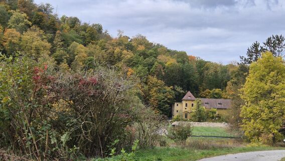 Photo de Mimi le long du parcours