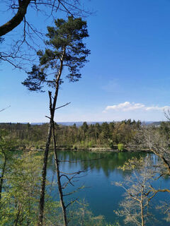doettingen-blick-auf-aare