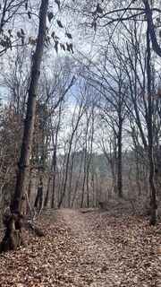 Zdjęcie z Dazza wzdłuż trasy