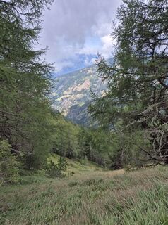 Foto von Miriamhaferkamp entlang der Tour